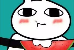 吃瓜表情包,揭秘网络时代的幽默密码